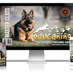 Pk 072 49 Ejemplos De Adiestramiento Canino: Educanino.
