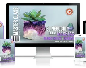 EL NEGOCIO DE LAS MACETAS GEOMÉTRICAS DE GEODAS