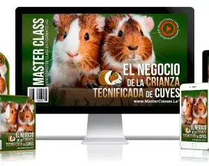 EL NEGOCIO DE LA CRIANZA TECNIFICADA DE CUYES