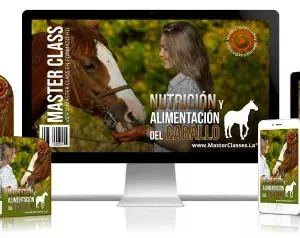 NUTRICIÓN Y ALIMENTACIÓN DEL CABALLO