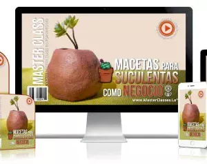 MACETAS PARA SUCULENTAS COMO NEGOCIO