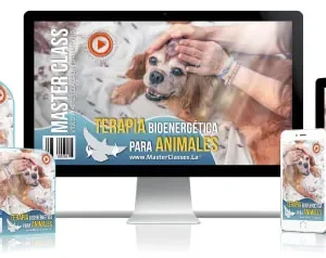 TERAPIA BIOENERGÉTICA PARA ANIMALES