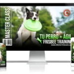 Tu Perro ágil – Frisbee Training