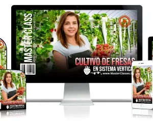CULTIVO DE FRESAS EN SISTEMA VERTICAL