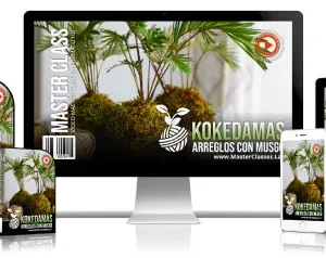 KOKEDAMAS ARREGLOS CON MUSGO
