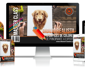 ✅Dibujo realista con lápices de colores de principiante a experto.