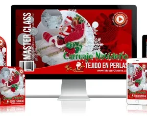 ✅Carruaje navideño tejido en perlas.