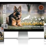 49 ejemplos de adiestramiento canino: EDUCANINO.